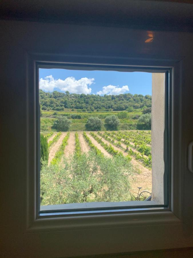 Domaine La Condamine Crillon-le-Brave Exterior foto