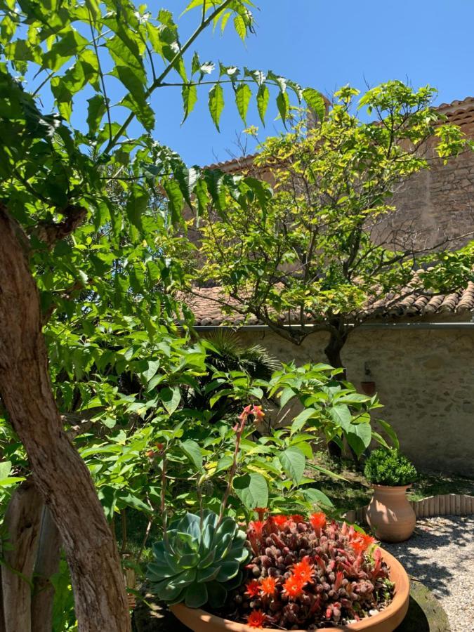 Domaine La Condamine Crillon-le-Brave Exterior foto